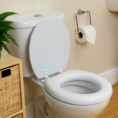 Toilet and Cisterns Plumbing